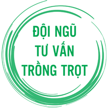Tư vấn 1