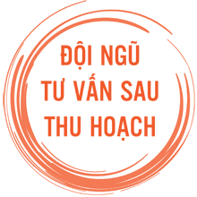 Tư vấn 2