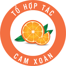Tổ hợp tác Cam Xoàn