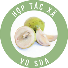Hợp tác xã Vú Sữa