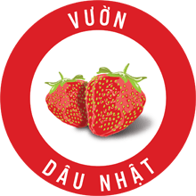 Vườn Dâu Nhật